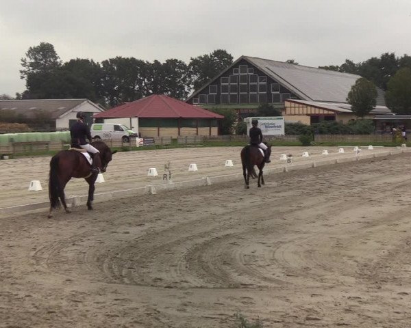 Reitturnier Schülp / Rendsburg 2020