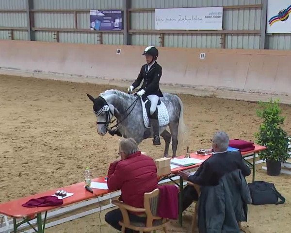 Reitturnier Bad Windsheim/Mfr. 2020