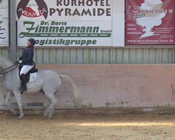 Reitturnier Bad Windsheim/Mfr. 2020