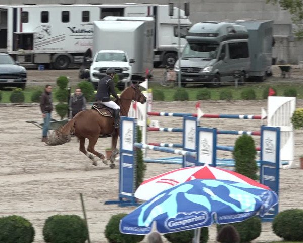 Reitturnier Basel Schänzli 2020