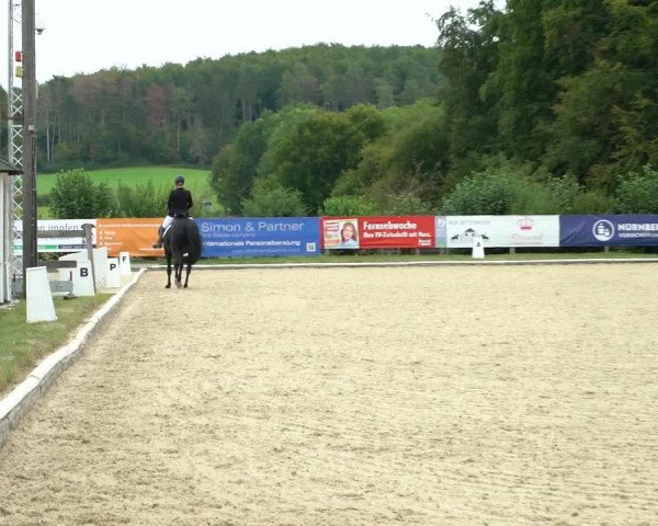 Reitturnier Hof Bettenrode 2020