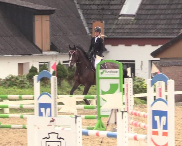Reitturnier Behrendorf 2020
