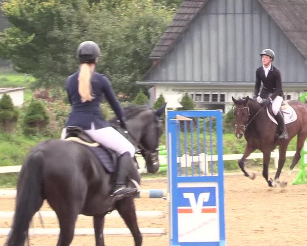 Reitturnier Behrendorf 2020