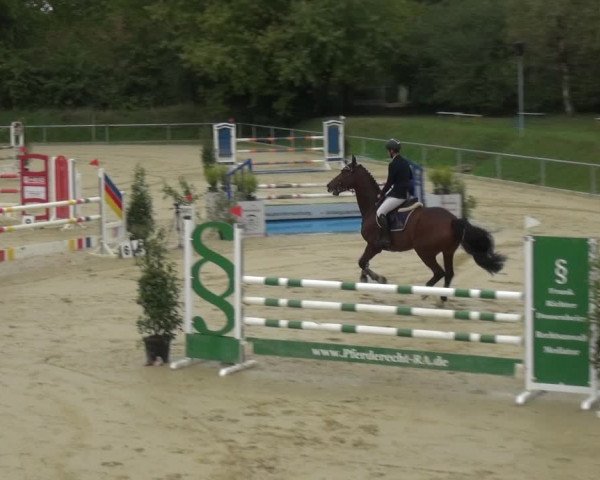 Reitturnier Ladenburg 2020