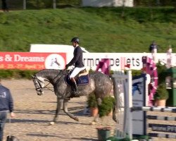 jumper Calani 2 (Holsteiner, 2008, from Calido I)