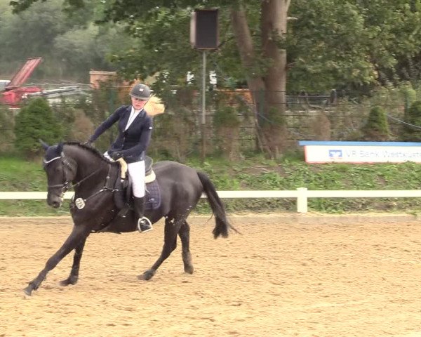 Reitturnier Behrendorf 2020