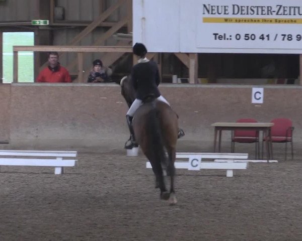 dressage horse Do it R (Hanoverian, 2004, from Don Gregory)