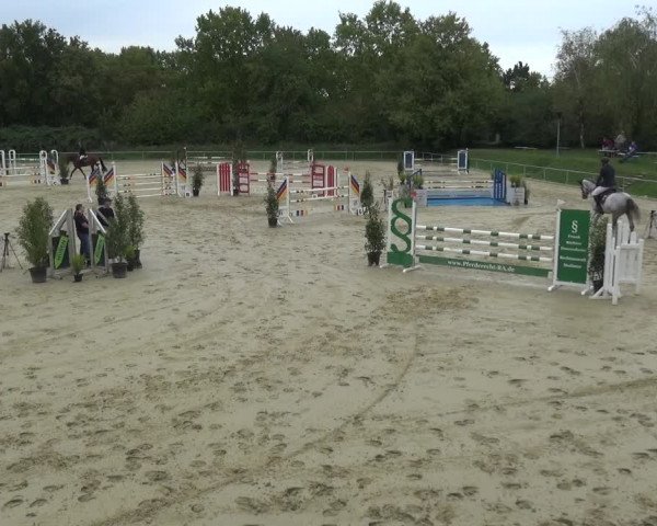 Reitturnier Ladenburg 2020