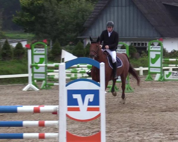 Reitturnier Behrendorf 2020