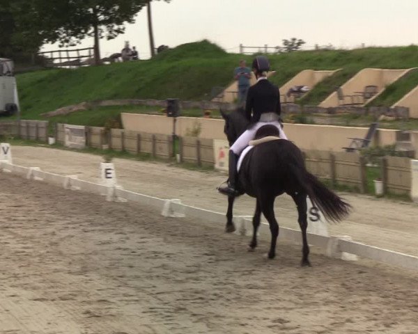 Reitturnier Schülp / Rendsburg 2020