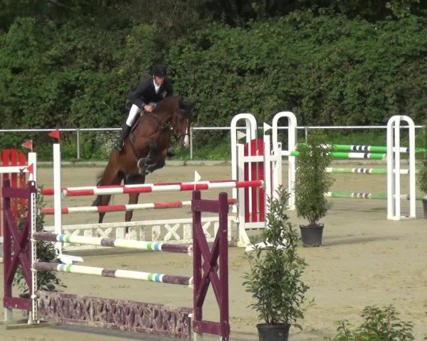 Reitturnier Ladenburg 2020