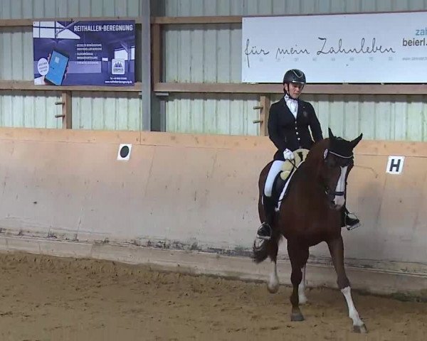 Reitturnier Bad Windsheim/Mfr. 2020