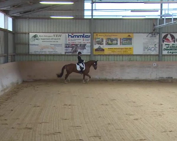Reitturnier Bad Windsheim/Mfr. 2020