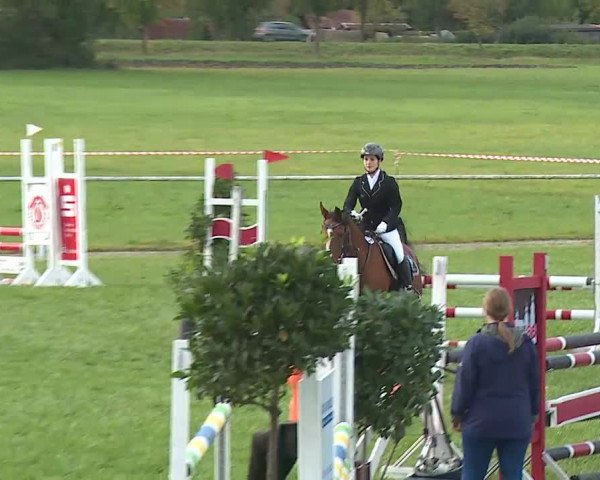 Reitturnier Bad Windsheim/Mfr. 2020