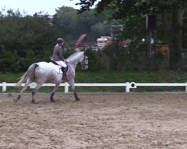 Reitturnier Behrendorf 2020