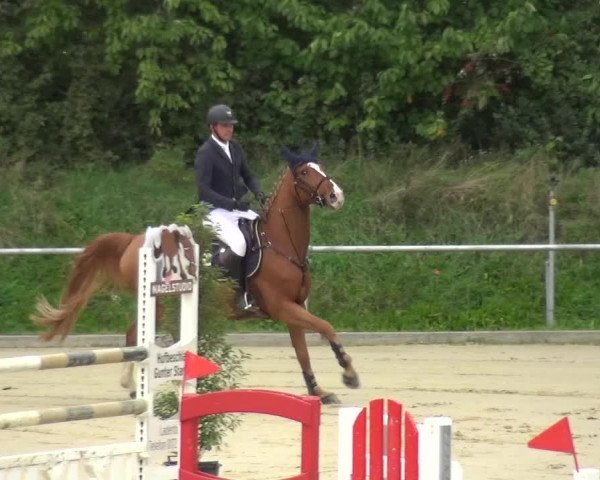 Reitturnier Ladenburg 2020