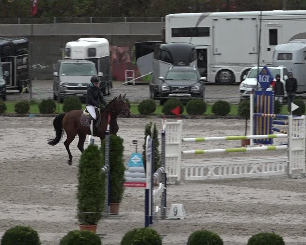 Reitturnier Basel Schänzli 2020