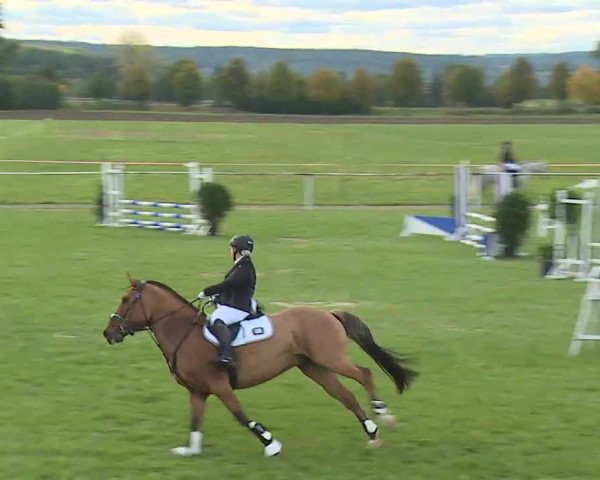 Reitturnier Bad Windsheim/Mfr. 2020