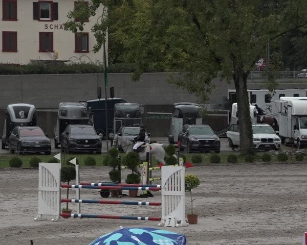 Reitturnier Basel Schänzli 2020