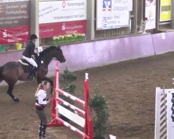 jumper Quintas (Württemberger, 2006, from Quite Capitol)
