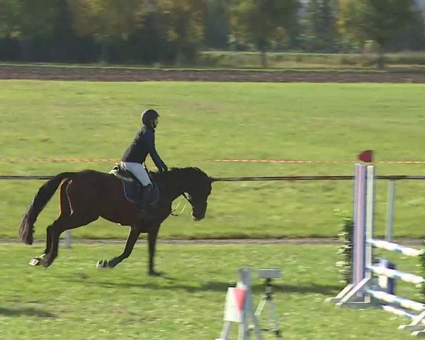 Reitturnier Bad Windsheim/Mfr. 2020