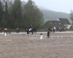 jumper Sazu 2 (Oldenburg, 2000, from Feiner Stern)