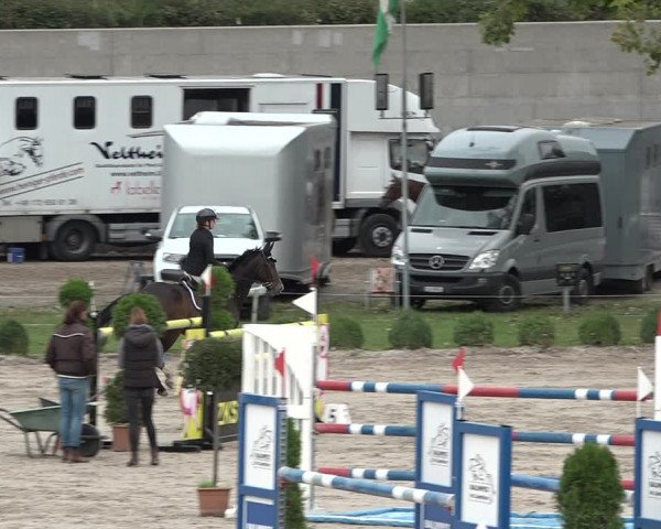 Reitturnier Basel Schänzli 2020