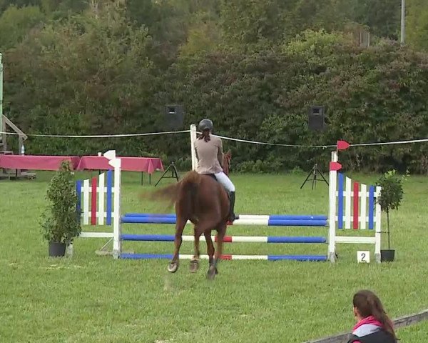 Reitturnier Bad Windsheim/Mfr. 2020