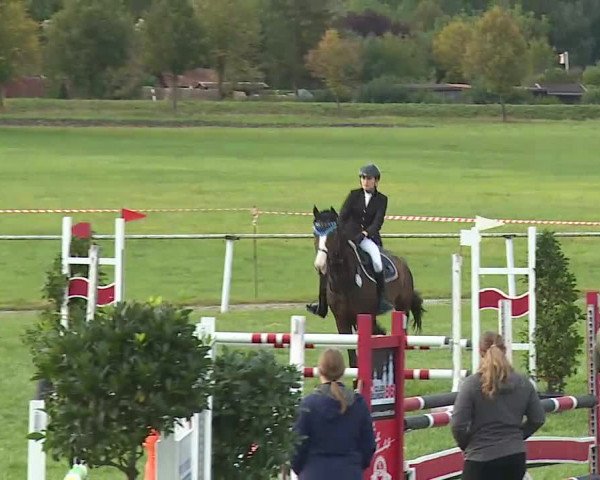 Reitturnier Bad Windsheim/Mfr. 2020