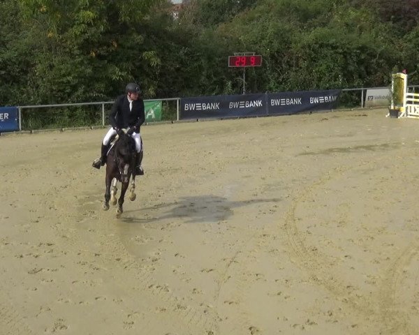 Reitturnier Ladenburg 2020