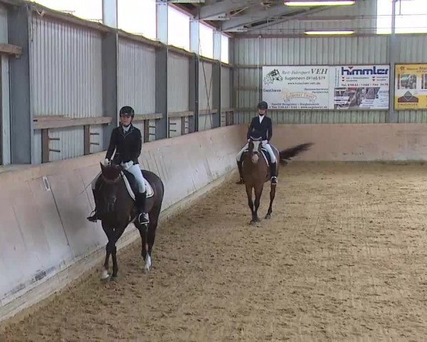 Reitturnier Bad Windsheim/Mfr. 2020