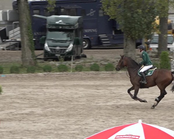 Reitturnier Basel Schänzli 2020