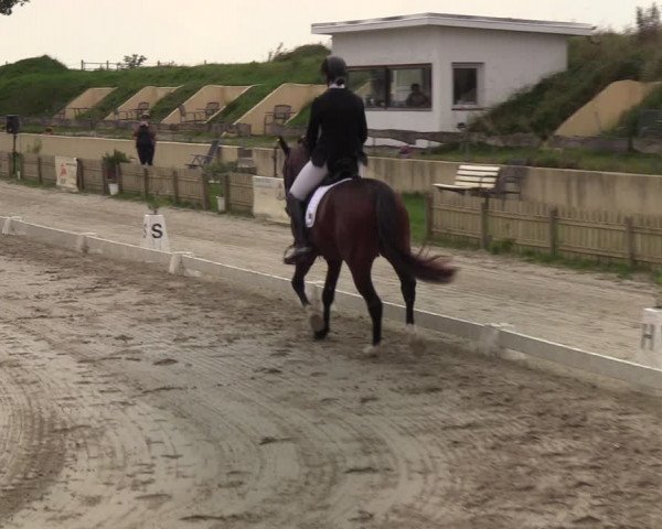 Reitturnier Schülp / Rendsburg 2020