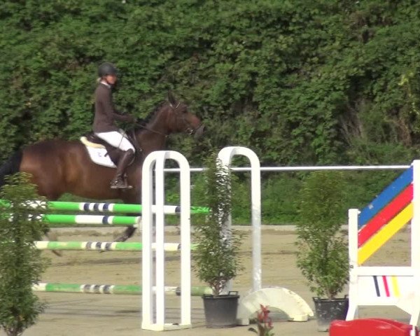 Reitturnier Ladenburg 2020
