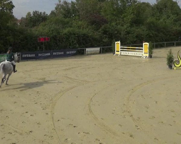 Reitturnier Ladenburg 2020