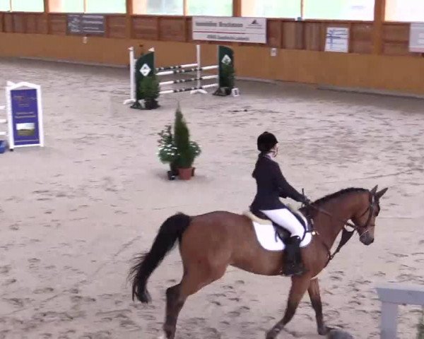 jumper Belaggio H (Rhinelander, 2009, from Bravissimo)