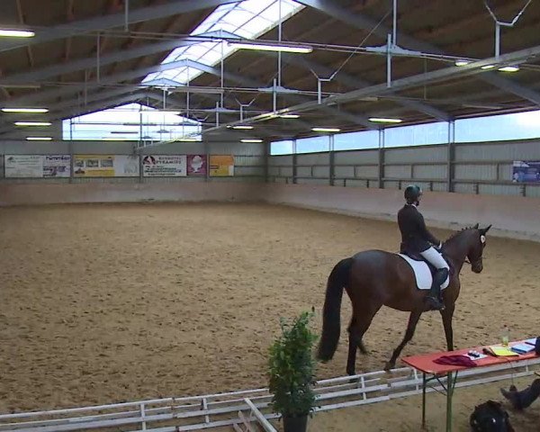 Reitturnier Bad Windsheim/Mfr. 2020
