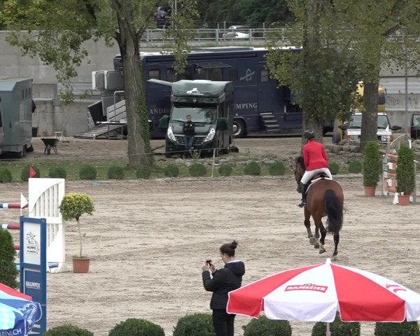 Reitturnier Basel Schänzli 2020