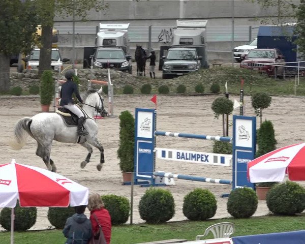 Reitturnier Basel Schänzli 2020