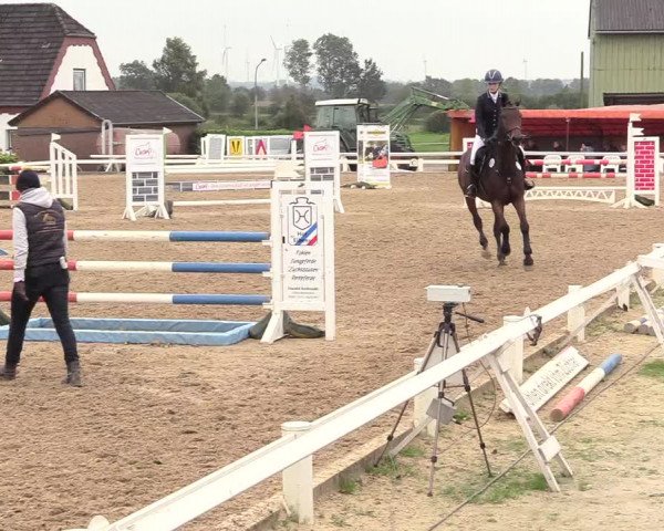 Reitturnier Behrendorf 2020