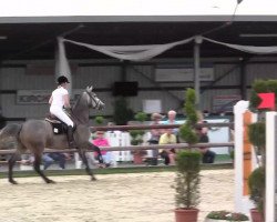 jumper Sweetberry (Hanoverian, 2008, from Stalypso)