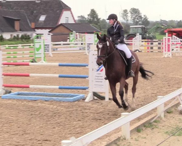 Reitturnier Behrendorf 2020