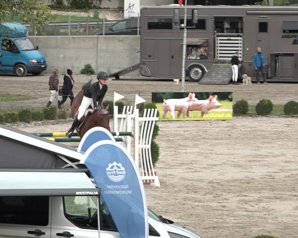 Reitturnier Basel Schänzli 2020