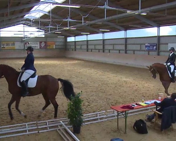 Reitturnier Bad Windsheim/Mfr. 2020