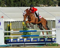 jumper Zinedine D (KWPN (Royal Dutch Sporthorse), 2004, from Indoctro)