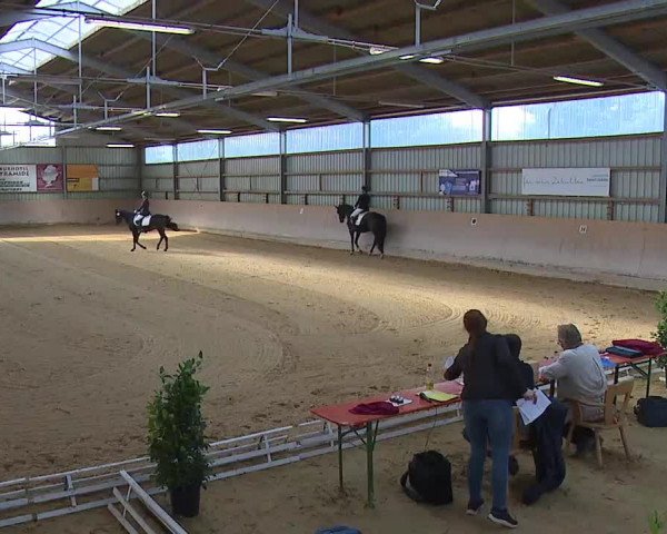 Reitturnier Bad Windsheim/Mfr. 2020