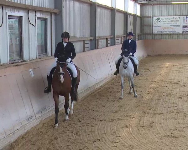 Reitturnier Bad Windsheim/Mfr. 2020