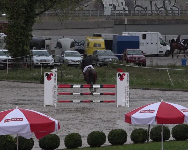 Reitturnier Basel Schänzli 2020