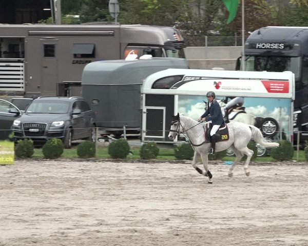 Reitturnier Basel Schänzli 2020
