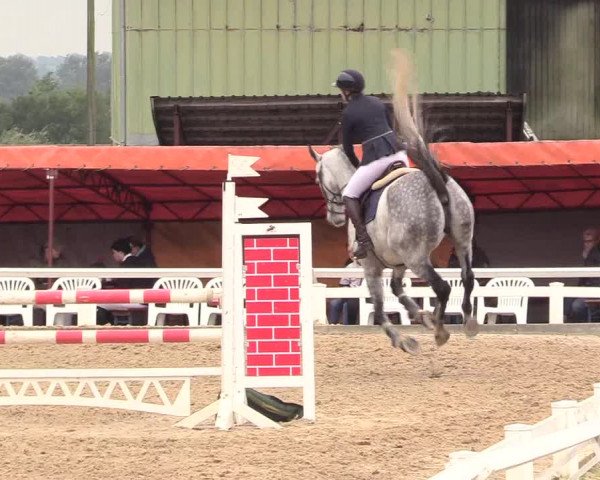 Reitturnier Behrendorf 2020